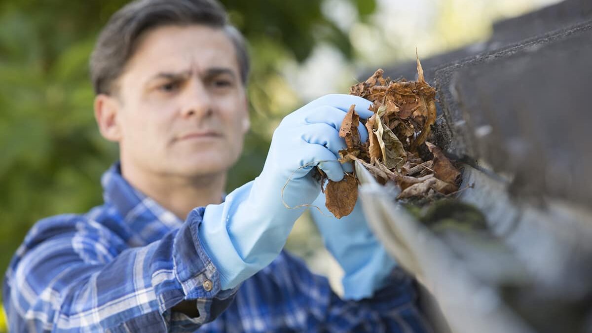 a homeowner beginning to undergo fall home improvement