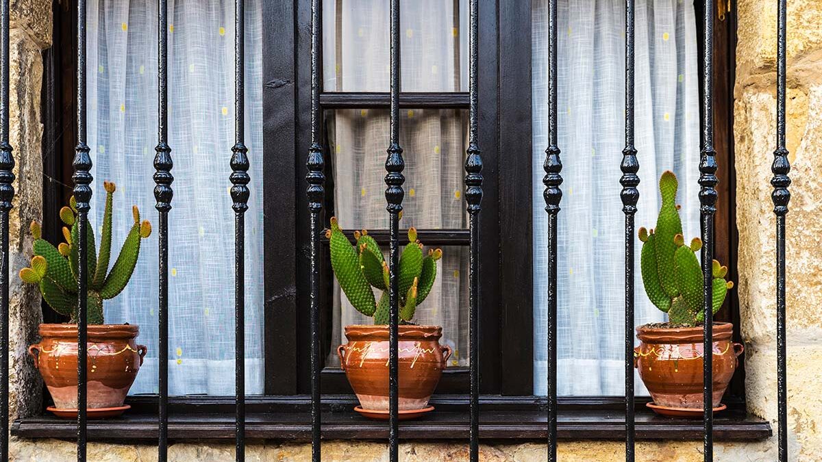 a patio with security measures increases the correlation betweenwindow bars and property value