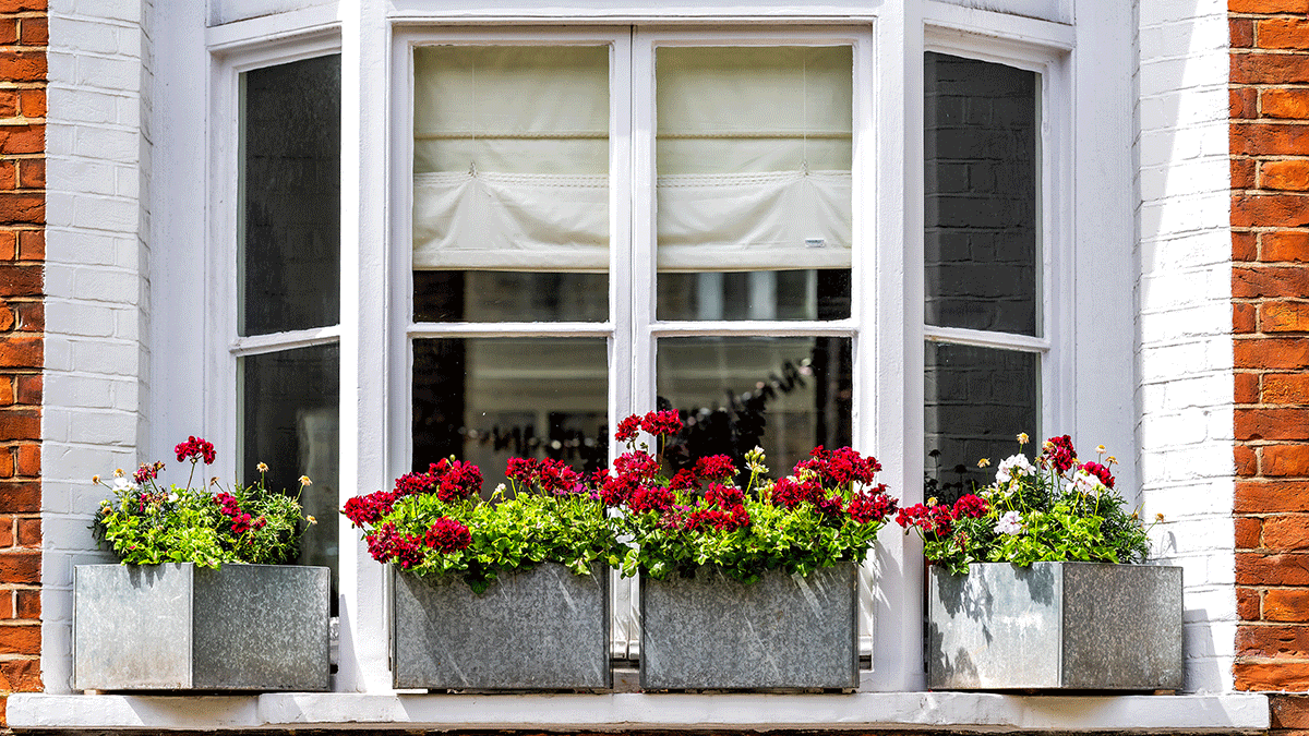 a picture from the outside of a bay window with flower pots surrounding it while the house owner wonders how much are bay windows