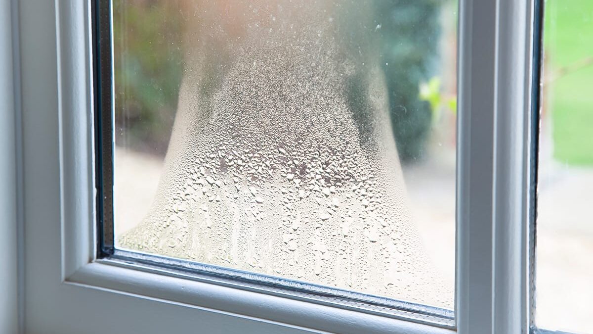 condensation builds on a window pane