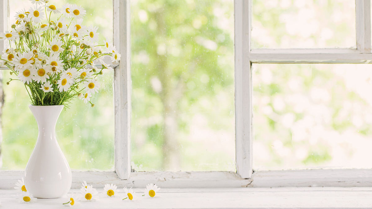 daisies sit on a sill, a way of decorating garden window