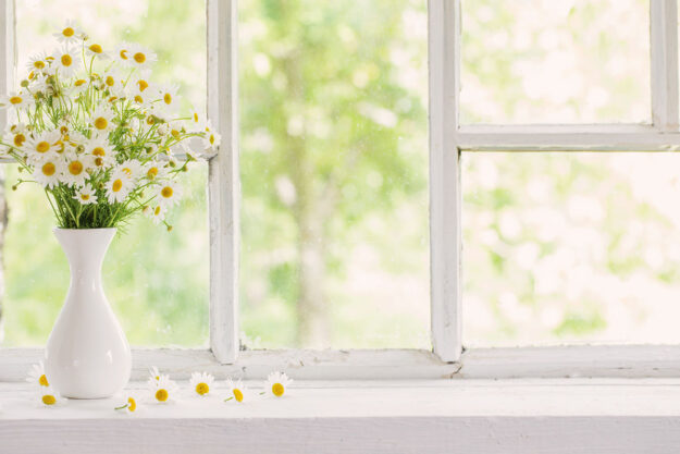 daisies sit on a sill, a way of decorating garden window