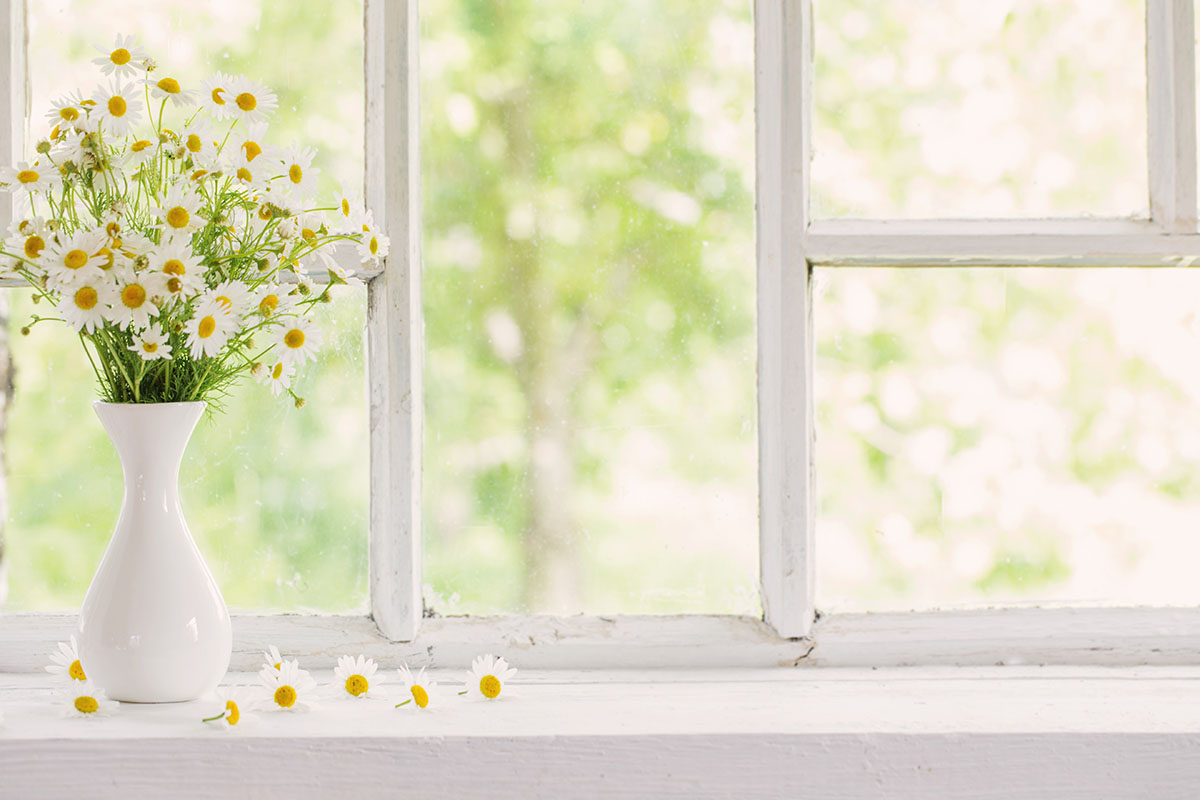 5 Tips for Decorating Your Garden Window for Spring daisies sit on a sill, a way of decorating garden window