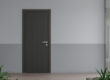 front view of steel entry door