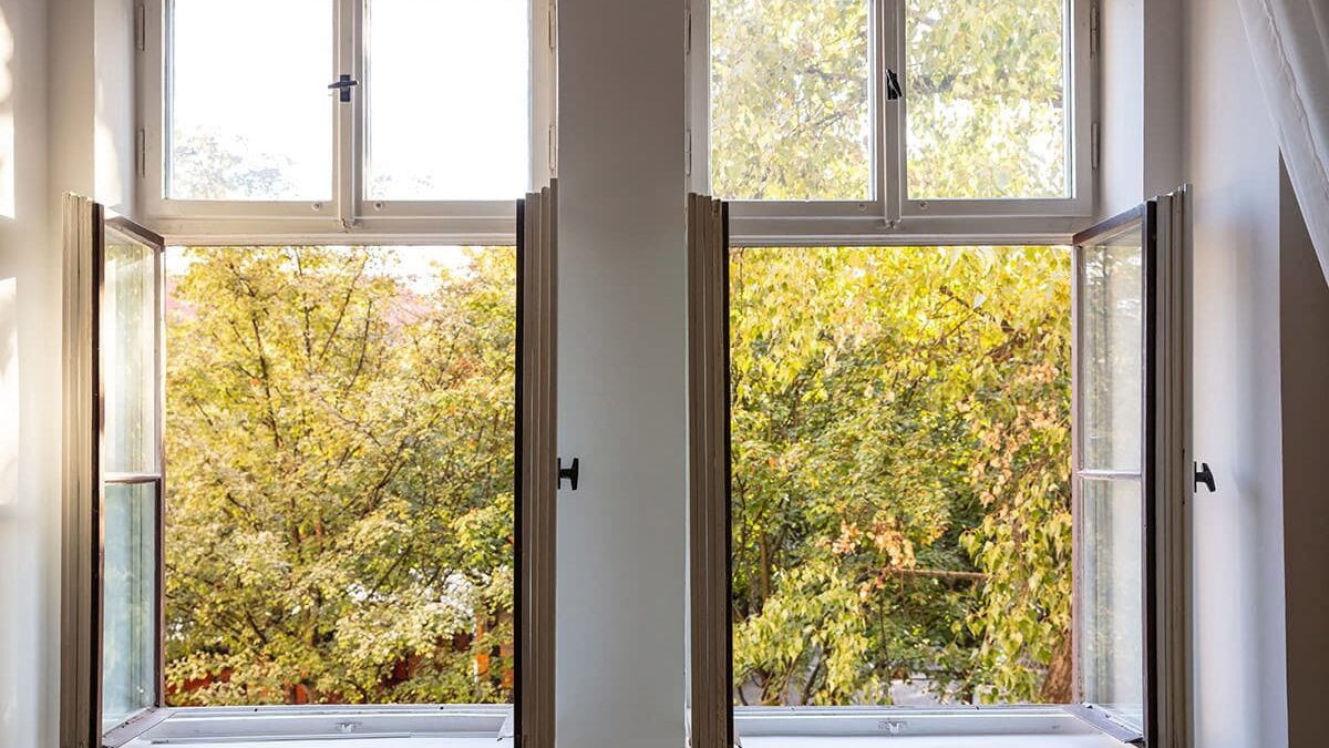 an autumn view is enjoyed through a garden window