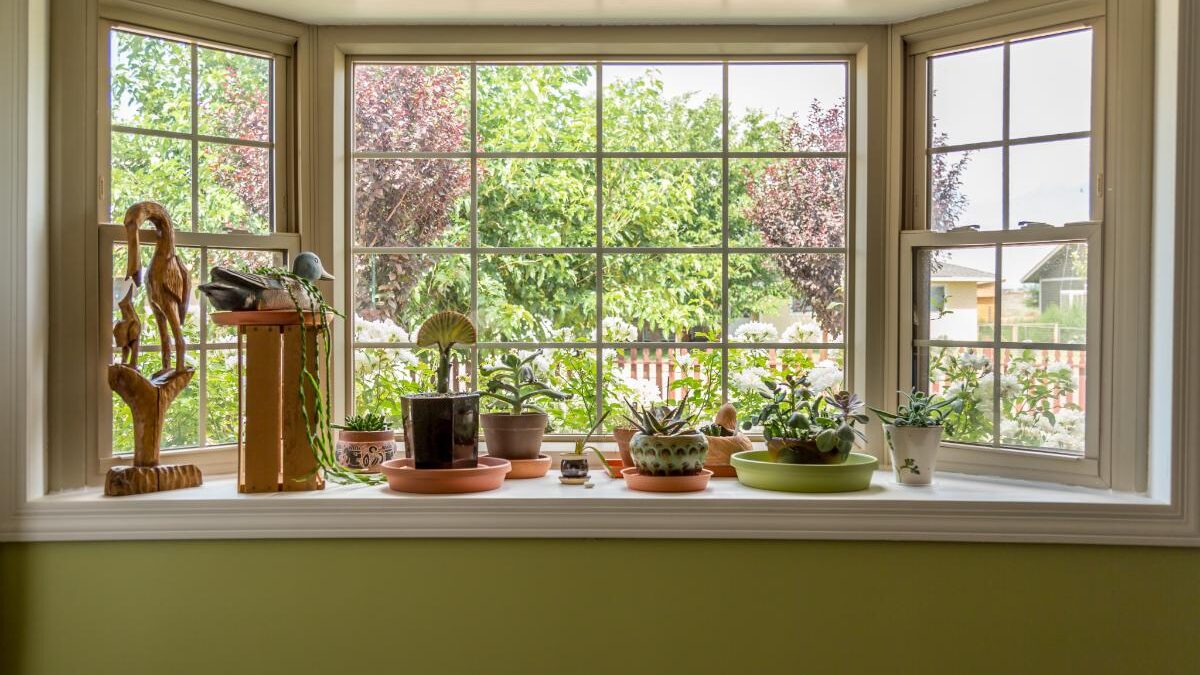 a garden window with a ledge full of plants and succulents