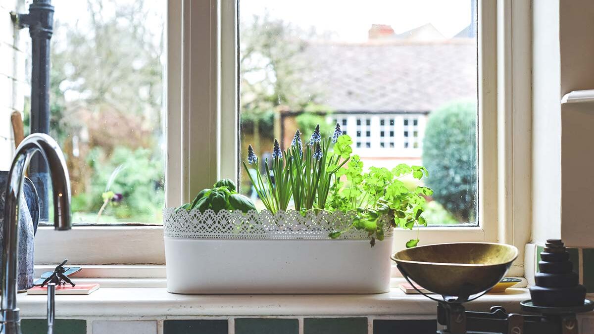 a garden window is seasonally decorated with plants and planters