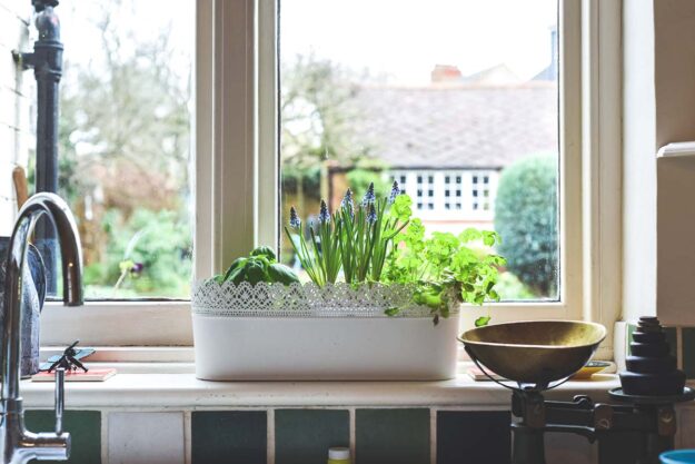 Seasonal Decor Ideas for Your Garden Window a garden window is seasonally decorated with plants and planters